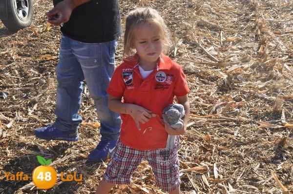 7amam lud monir 908 (27).JPG